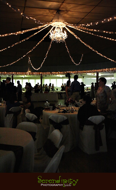 shiner texas, houston wedding photographer, reception lights