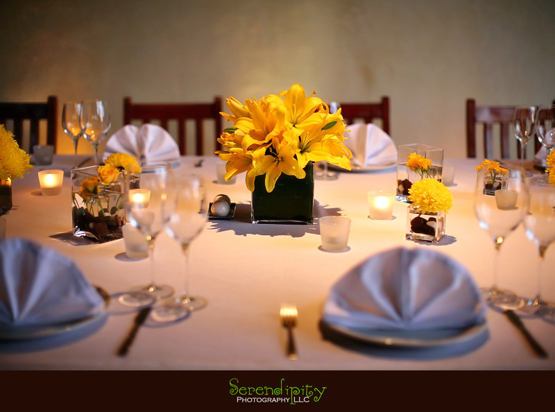 houston wedding photographer, Zihuatanejo, Mexico, destination wedding photography