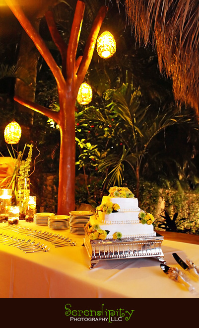 houston wedding photographer, Zihuatanejo, Mexico, destination wedding photography