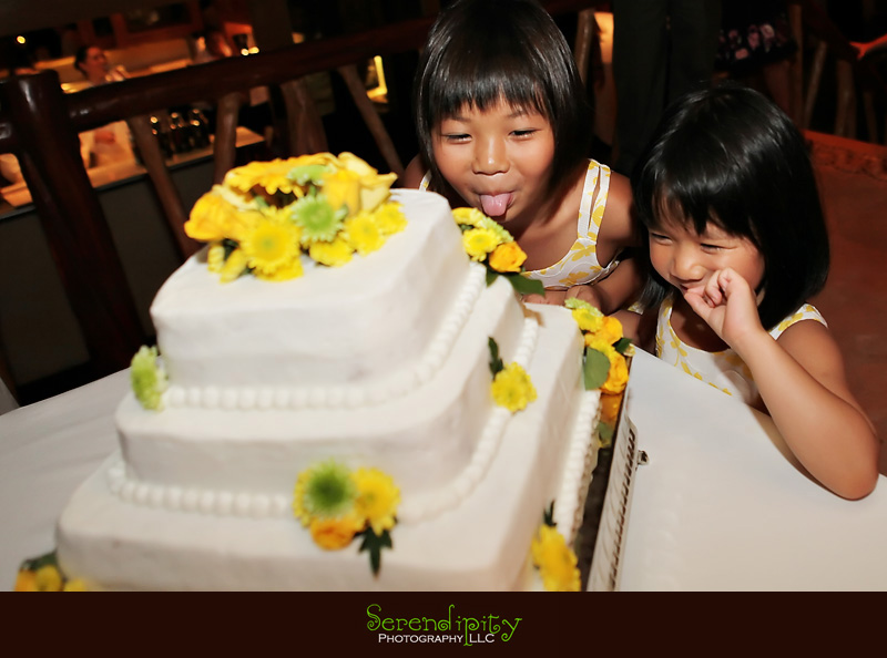 houston wedding photographer, Zihuatanejo, Mexico, destination wedding photography