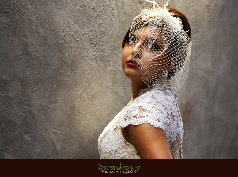 houston wedding photographer, discovery green, the grove, bridal portrait