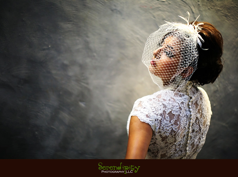 houston wedding photographer, discovery green, the grove, bridal portrait