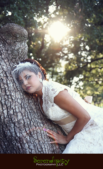 houston wedding photographer, discovery green, the grove, bridal portrait 