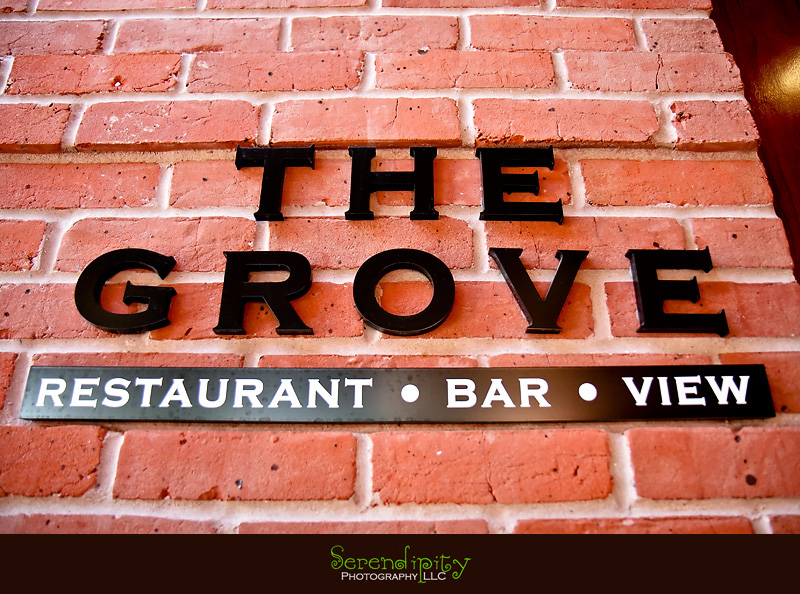 houston wedding photographer, discovery green, the grove