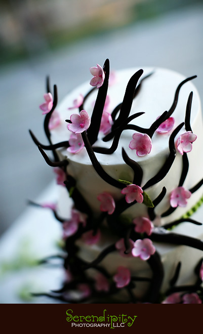 houston wedding photographer, discovery green, the grove, wedding cake top