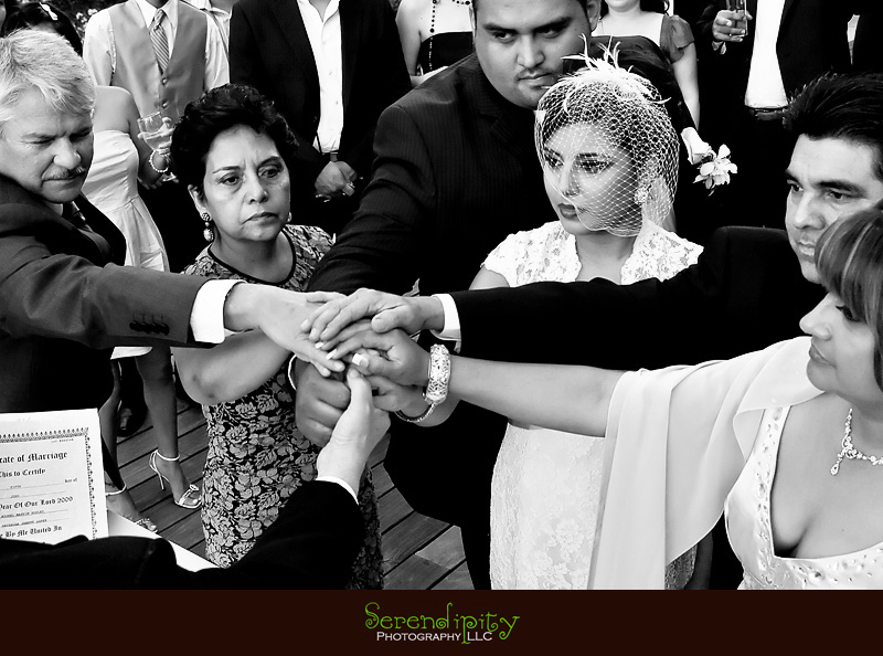 houston wedding photographer, discovery green, the grove, all hands join together
