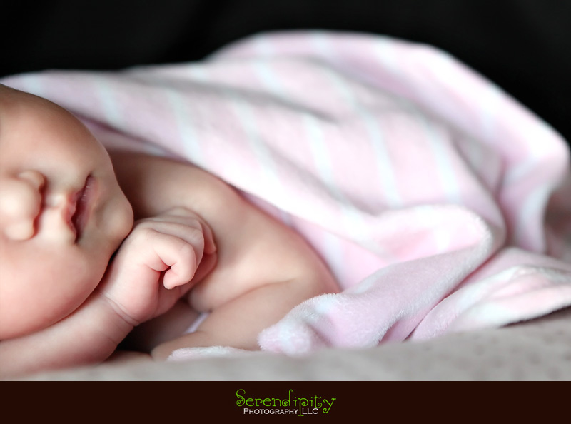 houston baby photography, houston baby portrait, newborn session, memorial city, private home