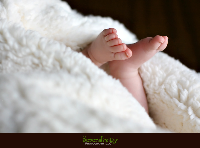 houston baby photography, houston baby portrait, newborn session, memorial city, private home