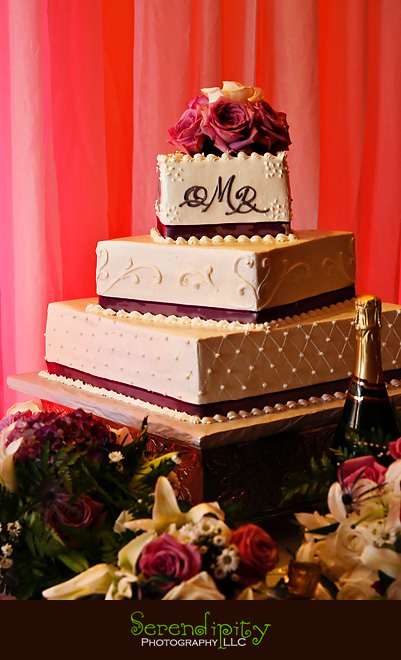 houston wedding photographer, St Edith Stein, Hotel Derek, Kim Son, gorgeous cake