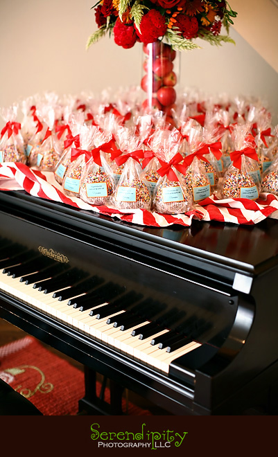 River Oaks Photography, Children Birthday Party Photography, candy apple favors