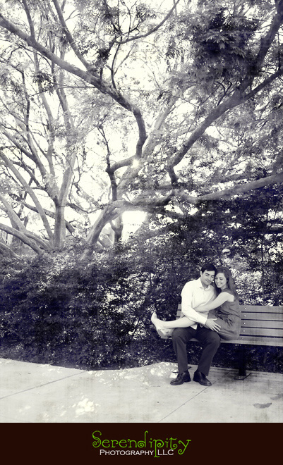 Houston Downtown Engagement Photography, Hermann Park, Houston  Zoo