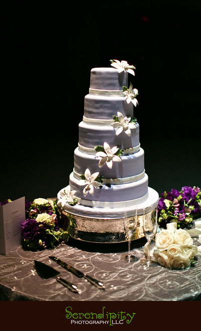 Houston wedding photographer, Holy Rosary, Houston Museum of  Natural Science, wedding cake