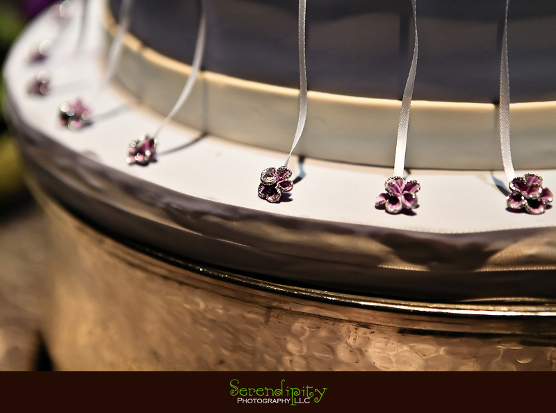 Houston wedding photographer, Holy Rosary, Houston Museum of  Natural Science, wedding cake charms