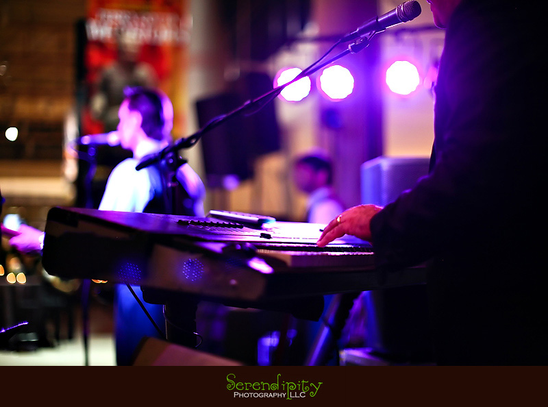 Houston wedding photographer, Holy Rosary, Houston Museum of Natural Science, wedding live band, The Pictures