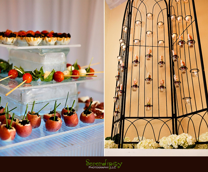Houston wedding photographer, Villa Rinata, cocktails, hor d'oeuvre
