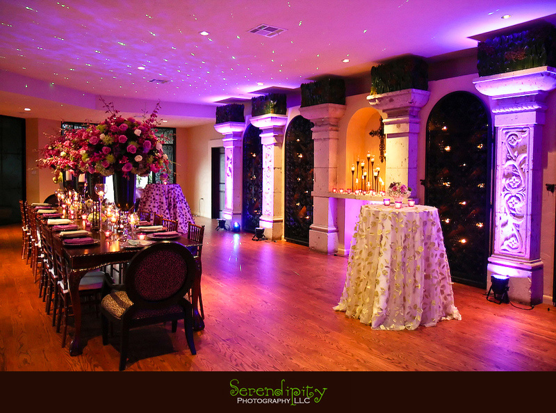 Houston wedding photographer, Villa Rinata, purple up lights, star lights
