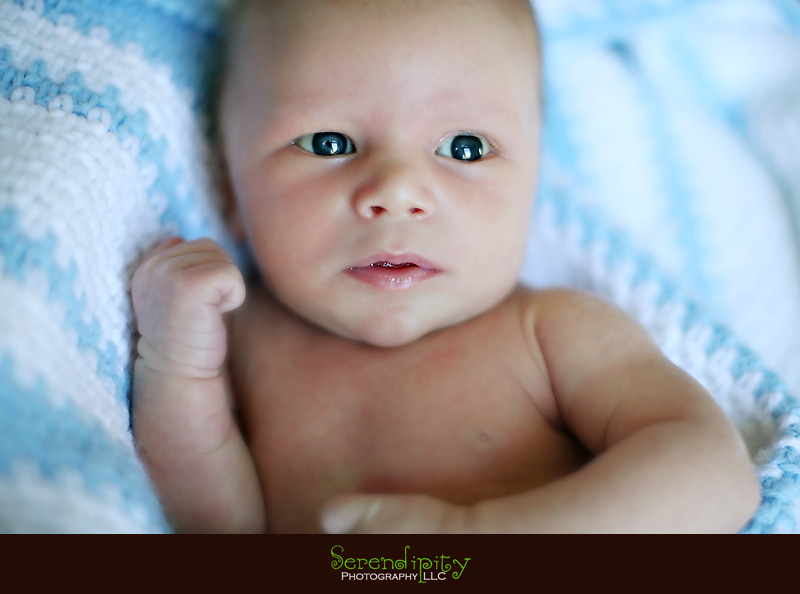 houston baby photography, houston baby portrait, newborn session, private home