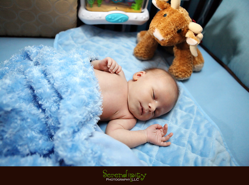 houston baby photography, houston baby portrait, newborn session, private home
