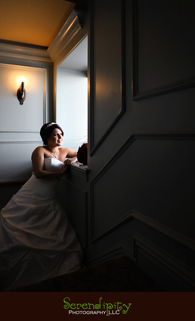 Hotel Icon, Downtown Houston, bridal portrait, Houston Wedding photographer