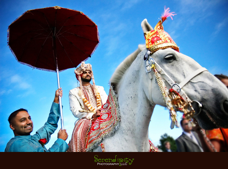 Houston wedding photographer, Destination Wedding Photography, groom riding a horse, Indian wedding parade