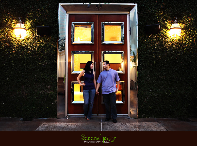 Houston Engagement Photography, Houston Wedding Photographer