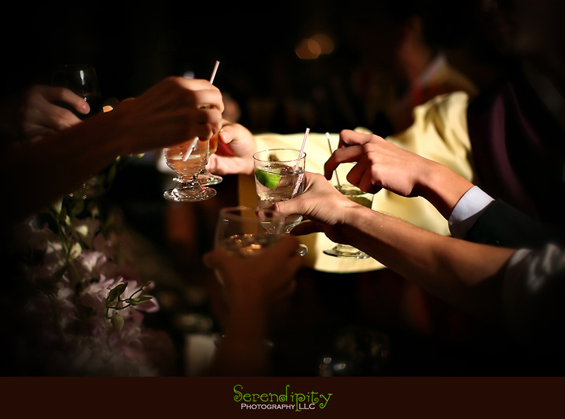 Houston wedding photographer, Memorial Drive Presbyterian, raising glasses for a toast