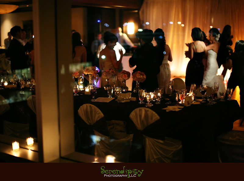 Houston wedding photographer, Memorial Drive Presbyterian, party at the wedding reception