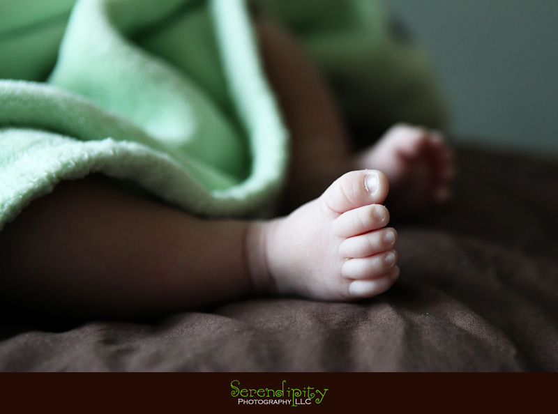 houston baby photography, houston baby portrait, private home