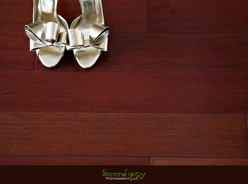 Houston wedding photographer, Hindu Temple, Hindu Wedding, Indian Wedding, silver shoes