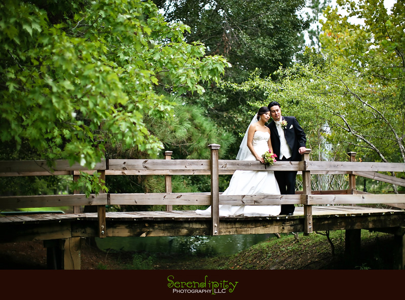 Houston wedding photographer, Vietnamese Wedding, Korean Wedding, bride and groom portrait
