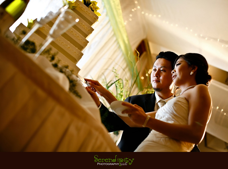 Houston wedding photographer, Vietnamese Wedding, Korean Wedding, cake cutting