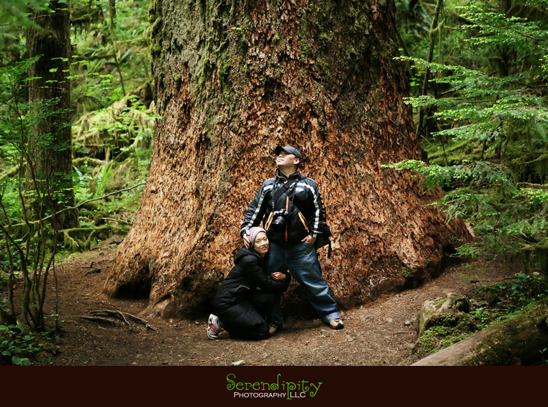 Seattle, Washington, Olympic National Park, Oregon Coastline, Crater Lake National Park, Portland