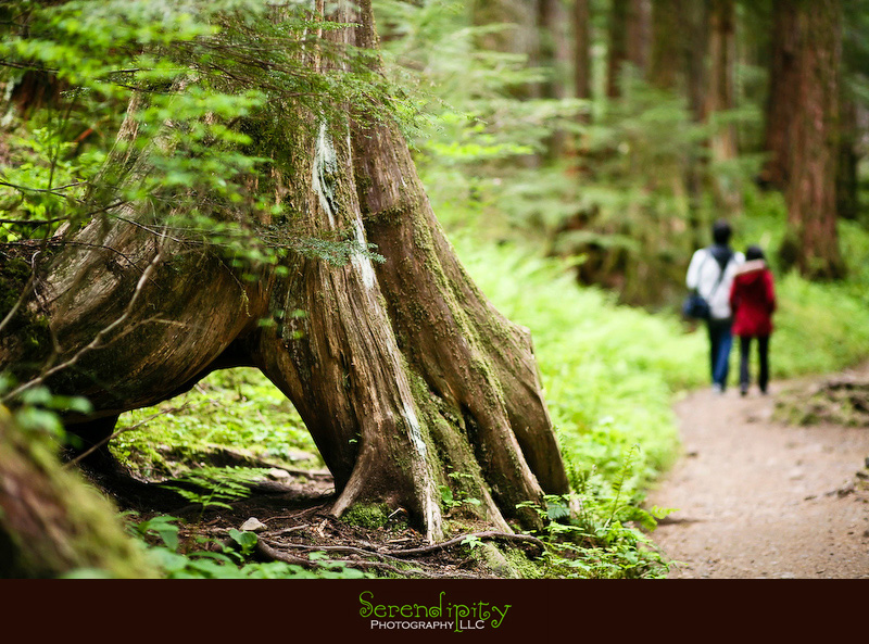 Seattle, Washington, Olympic National Park, Oregon Coastline, Crater Lake National Park, Portland