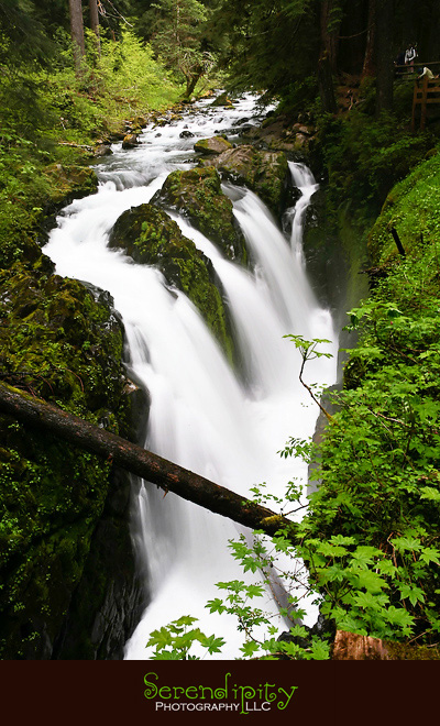 Seattle, Washington, Olympic National Park, Oregon Coastline, Crater Lake National Park, Portland