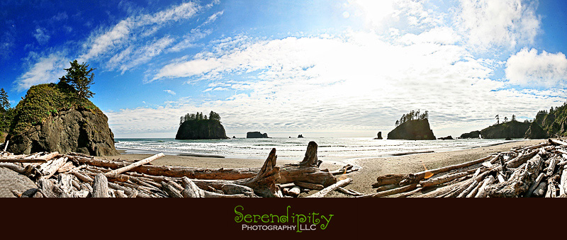 Seattle, Washington, Olympic National Park, Oregon Coastline, Crater Lake National Park, Portland
