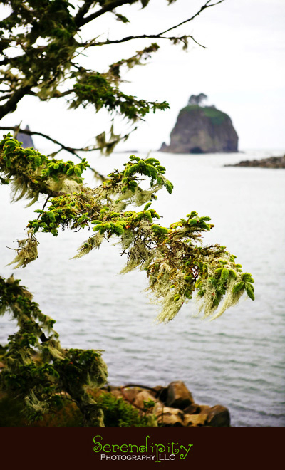 Seattle, Washington, Olympic National Park, Oregon Coastline, Crater Lake National Park, Portland