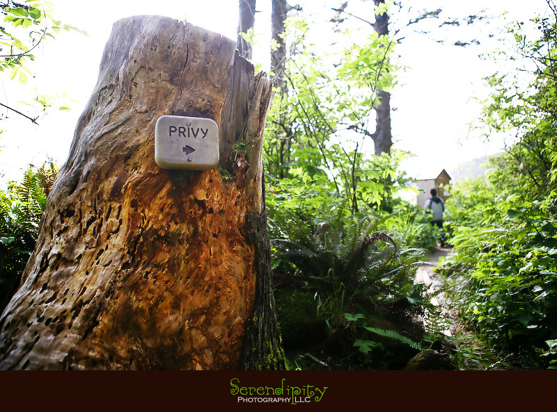 Seattle, Washington, Olympic National Park, Oregon Coastline, Crater Lake National Park, Portland