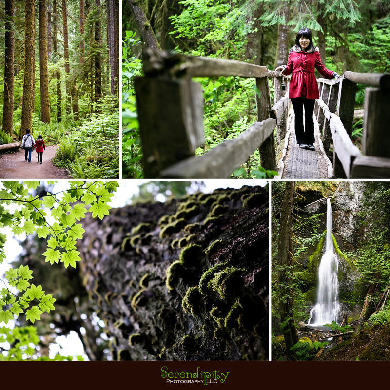Seattle, Washington, Olympic National Park, Oregon Coastline, Crater Lake National Park, Portland
