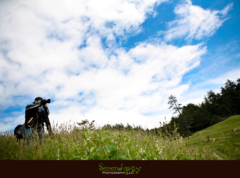 Seattle, Washington, Olympic National Park, Oregon Coastline, Crater Lake National Park, Portland