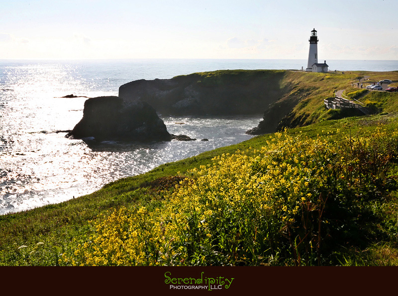 Seattle, Washington, Olympic National Park, Oregon Coastline, Crater Lake National Park, Portland