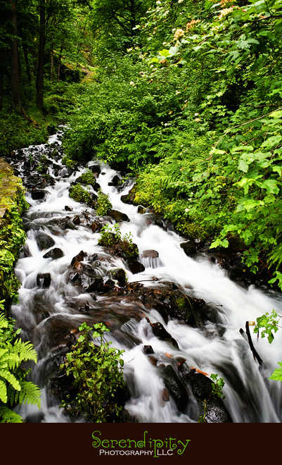 Seattle, Washington, Olympic National Park, Oregon Coastline, Crater Lake National Park, Portland