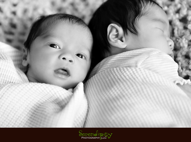 houston baby photography, houston baby portrait, private home