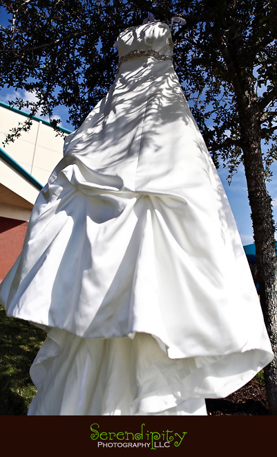 Houston wedding photographer, Pearland Church Ceremony, Private Home Reception, Bridal gown