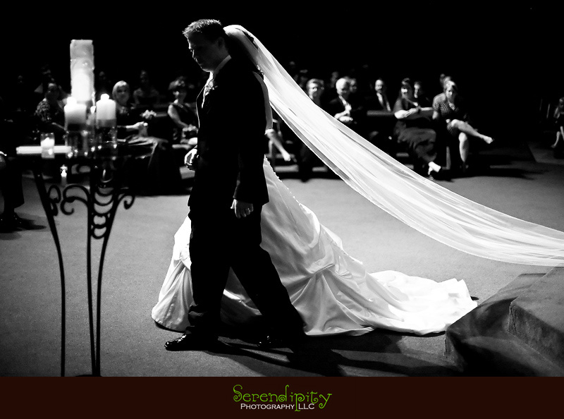 Houston wedding photographer, Pearland Church Ceremony, Private Home Reception, bride and veil