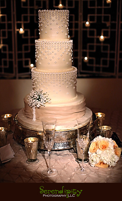 Houston wedding photographer, St George Orthodox Christian Church Ceremony, Alden Hotel Reception, wedding cake