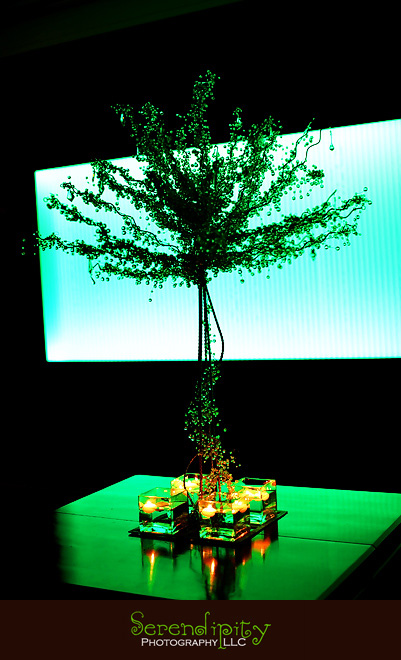 Houston wedding photographer, St George Orthodox Christian Church   Ceremony, Alden Hotel Reception, decorative tree