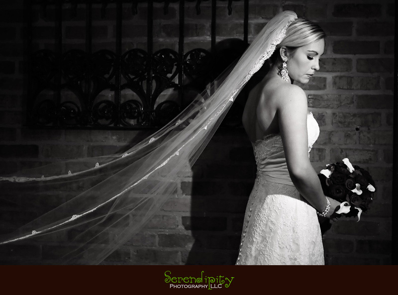 Courtyard on St James Place, Uptown Houston, bridal portrait, Houston Wedding photographer