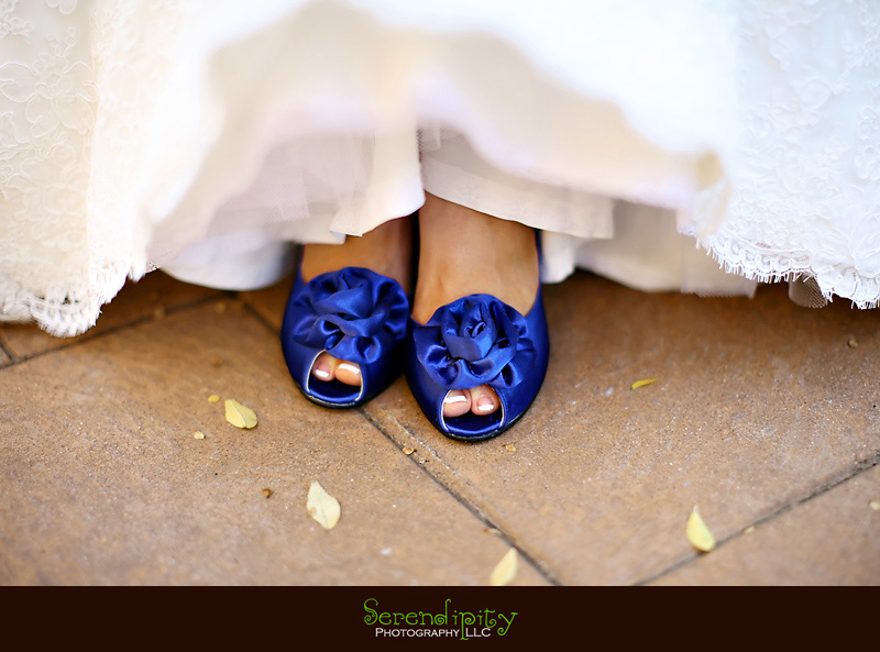 Courtyard on St James Place, Uptown Houston, bridal portrait, Houston Wedding photographer