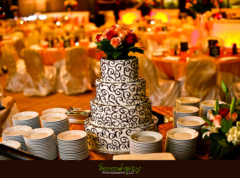 Houston Indian wedding photography, Marriott Hotel, wedding cake, wedding reception