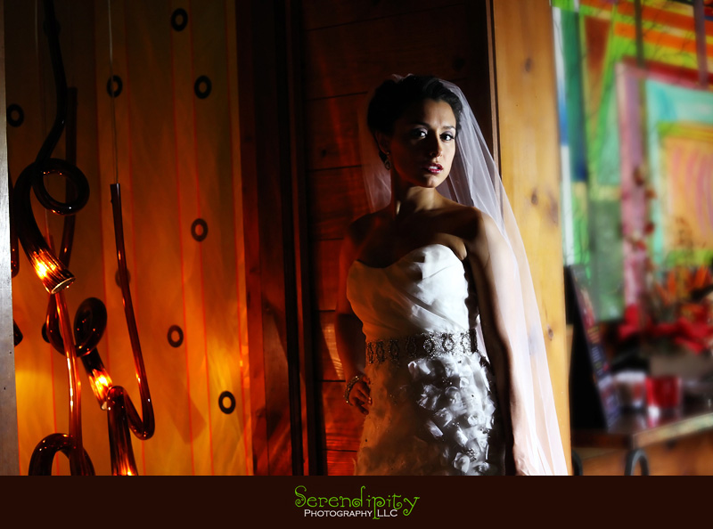 Houston Wedding photographer, houston outdoor bridal portrait photography session, Houston indoor bridal portrait